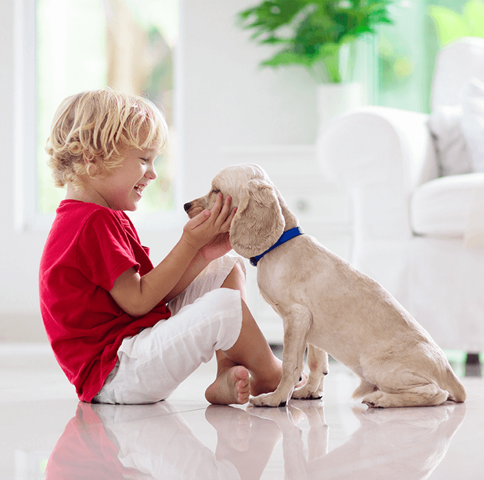 É POSSÍVEL O CONTÁGIO DE PIOLHOS ENTRE HUMANOS E ANIMAIS?